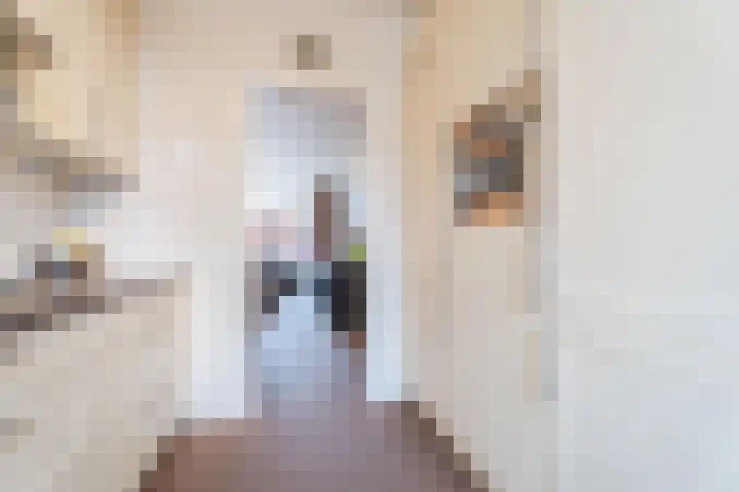 Valkenier 7 Rhoon thumbnail 8