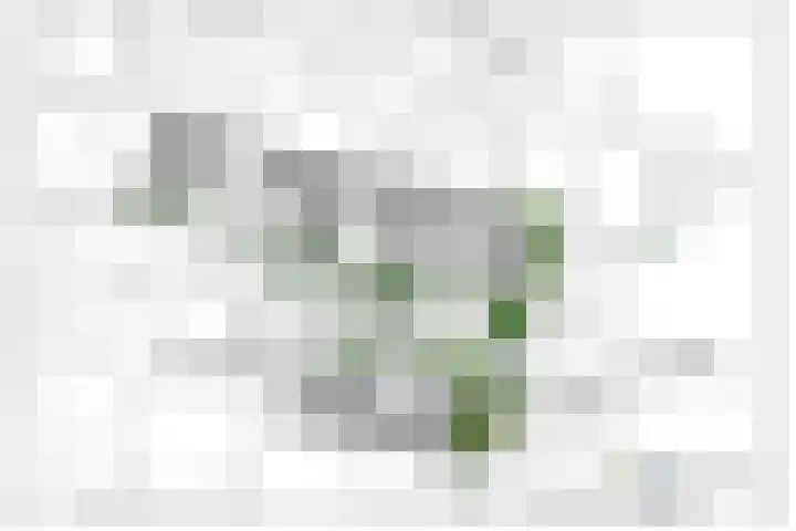 Valkenierlaan 13 Bilthoven thumbnail 5