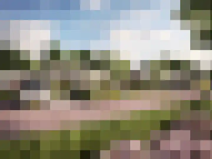 Valkenierlaan 13 Bilthoven thumbnail 6