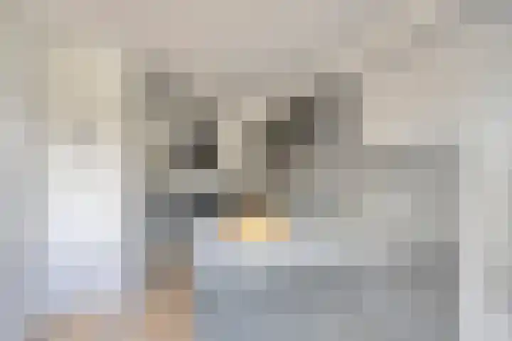 Valkeniersborch 42 Houten thumbnail 14