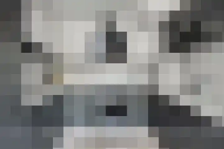 Valkeniersborch 42 Houten thumbnail 16