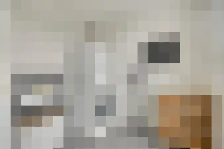 Valkeniersborch 42 Houten thumbnail 25