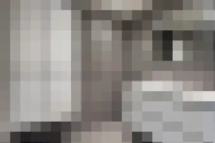 Valkeniersborch 42 Houten thumbnail 27