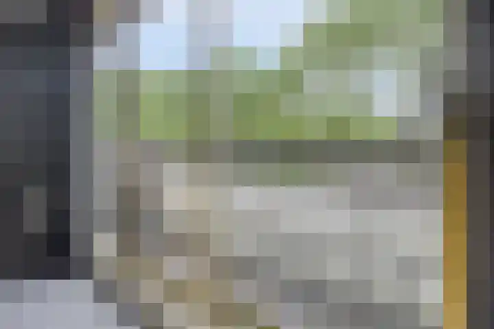 Valkeniersborch 42 Houten thumbnail 33