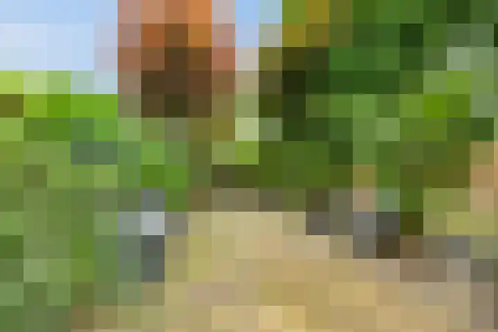 Valkeniersborch 42 Houten thumbnail 35