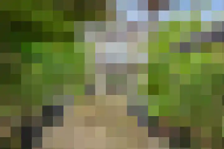 Valkeniersborch 42 Houten thumbnail 36