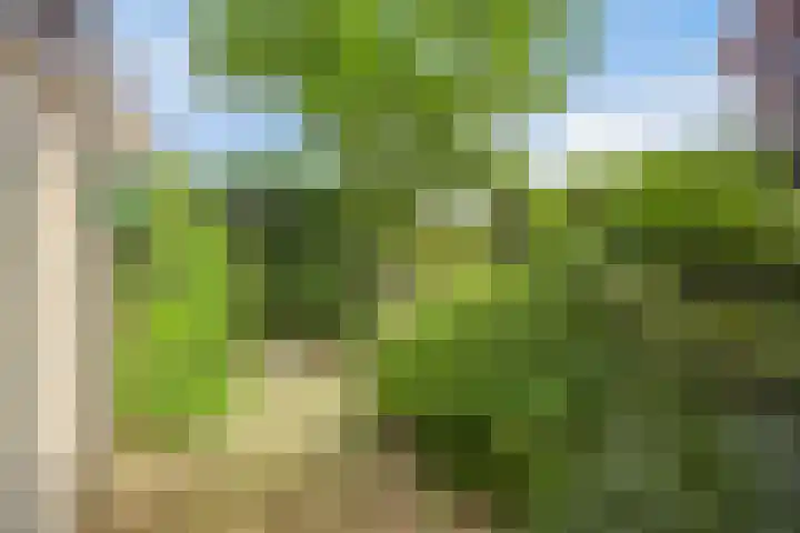 Valkeniersborch 42 Houten thumbnail 37