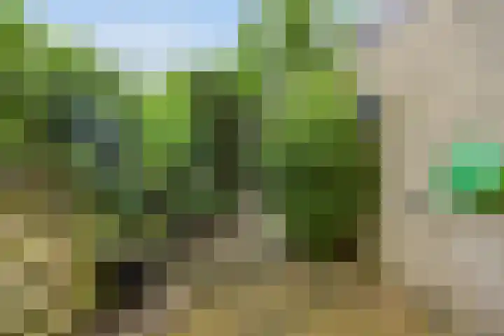 Valkeniersborch 42 Houten thumbnail 38