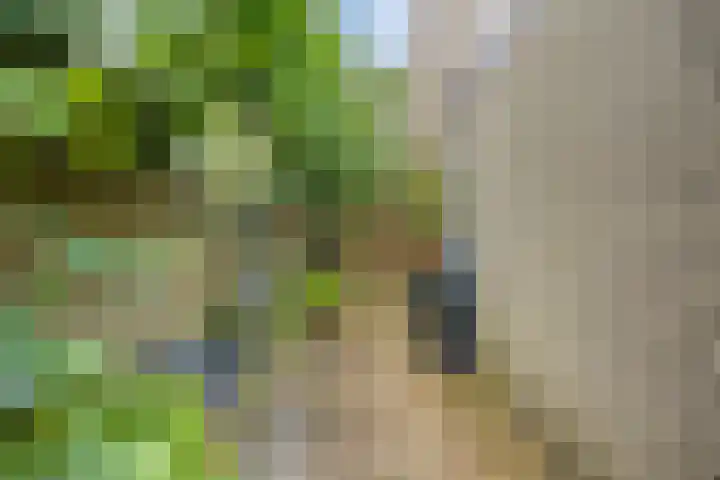 Valkeniersborch 42 Houten thumbnail 39