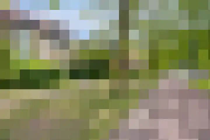 Valkeniersborch 42 Houten thumbnail 4