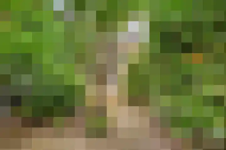 Valkeniersborch 42 Houten thumbnail 40