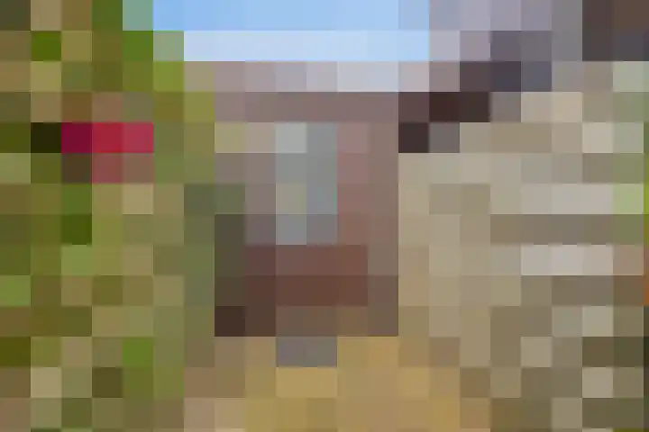 Valkeniersborch 42 Houten thumbnail 41