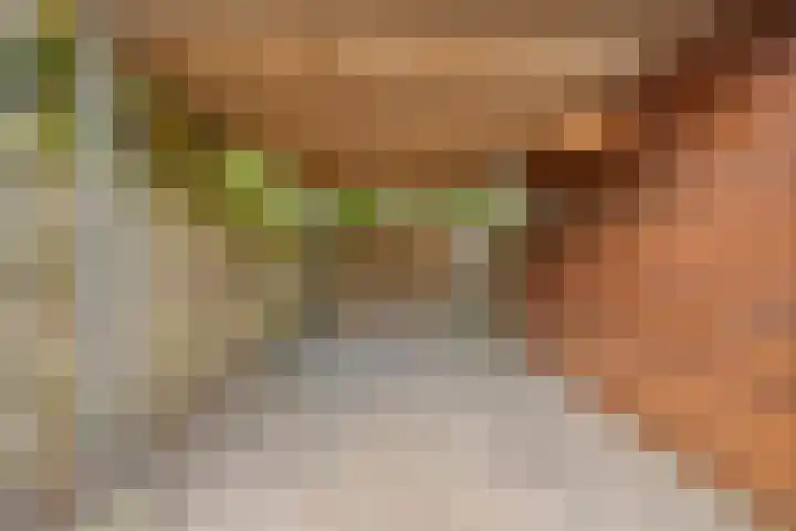 Valkeniersborch 42 Houten thumbnail 44