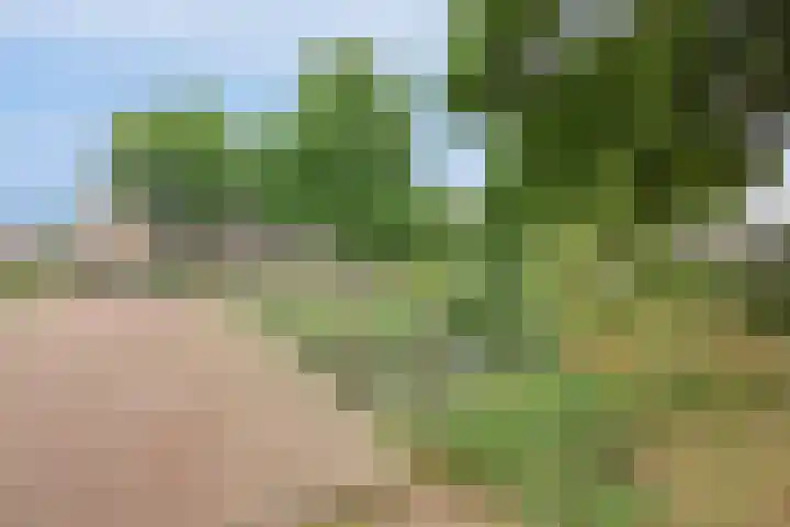 Valkeniersborch 42 Houten thumbnail 49
