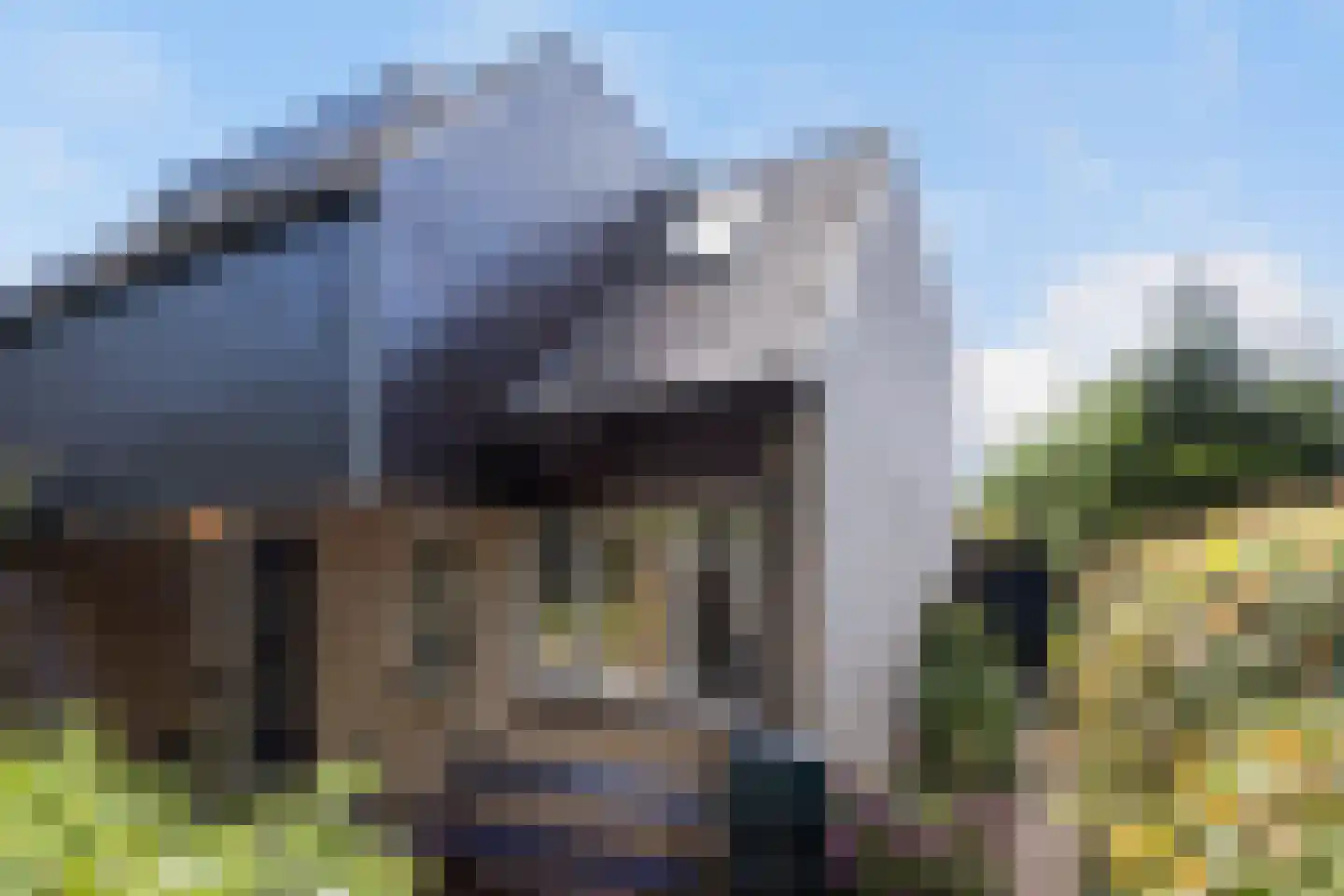 Valkeniersdonk 305 Apeldoorn thumbnail 15