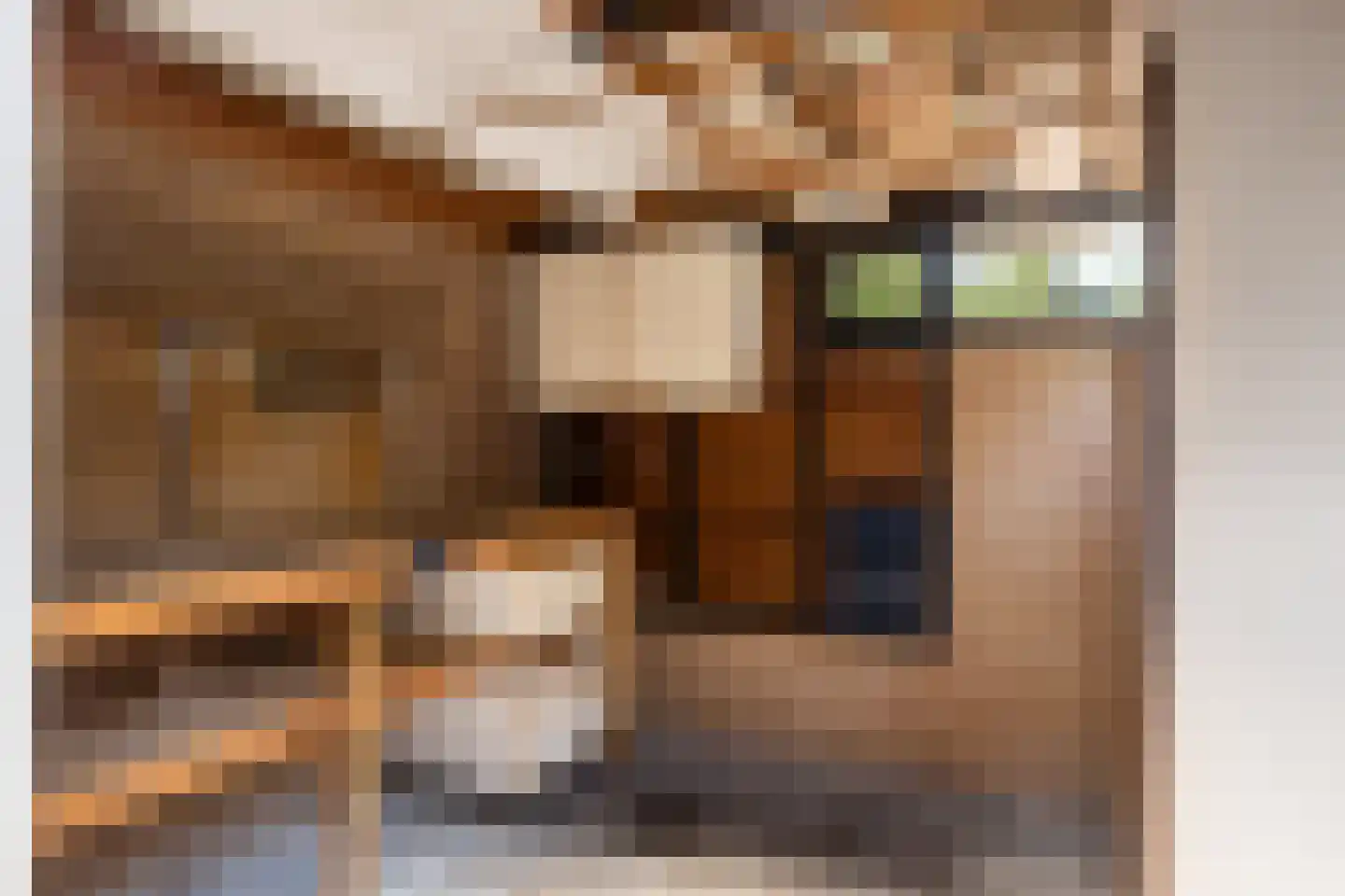 Valkeniersdonk 305 Apeldoorn thumbnail 18