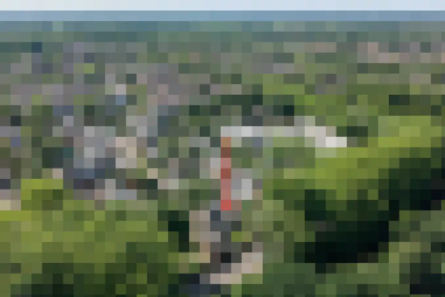 Valkeniersdonk 305 Apeldoorn thumbnail 35