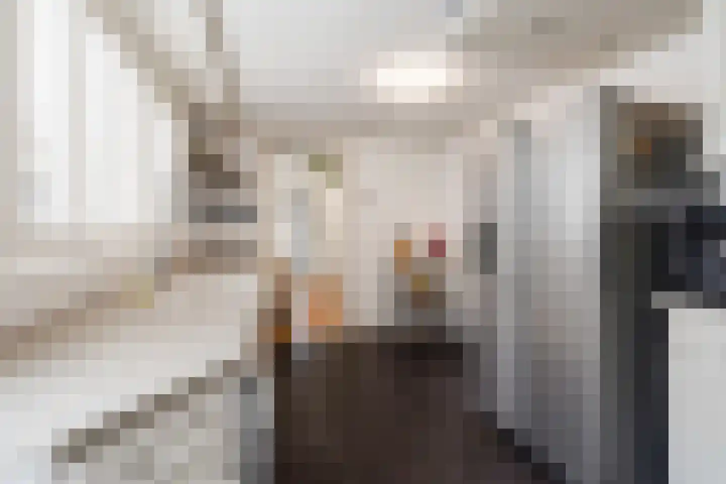 Valkenierslaan 129 Breda thumbnail 19