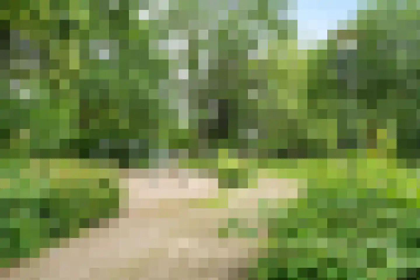Valkenierslaan 129 Breda thumbnail 47