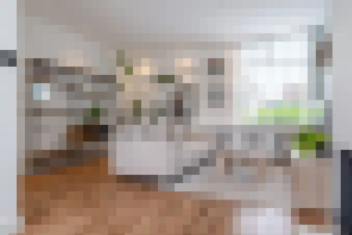 Valkenierslaan 129 Breda thumbnail 7
