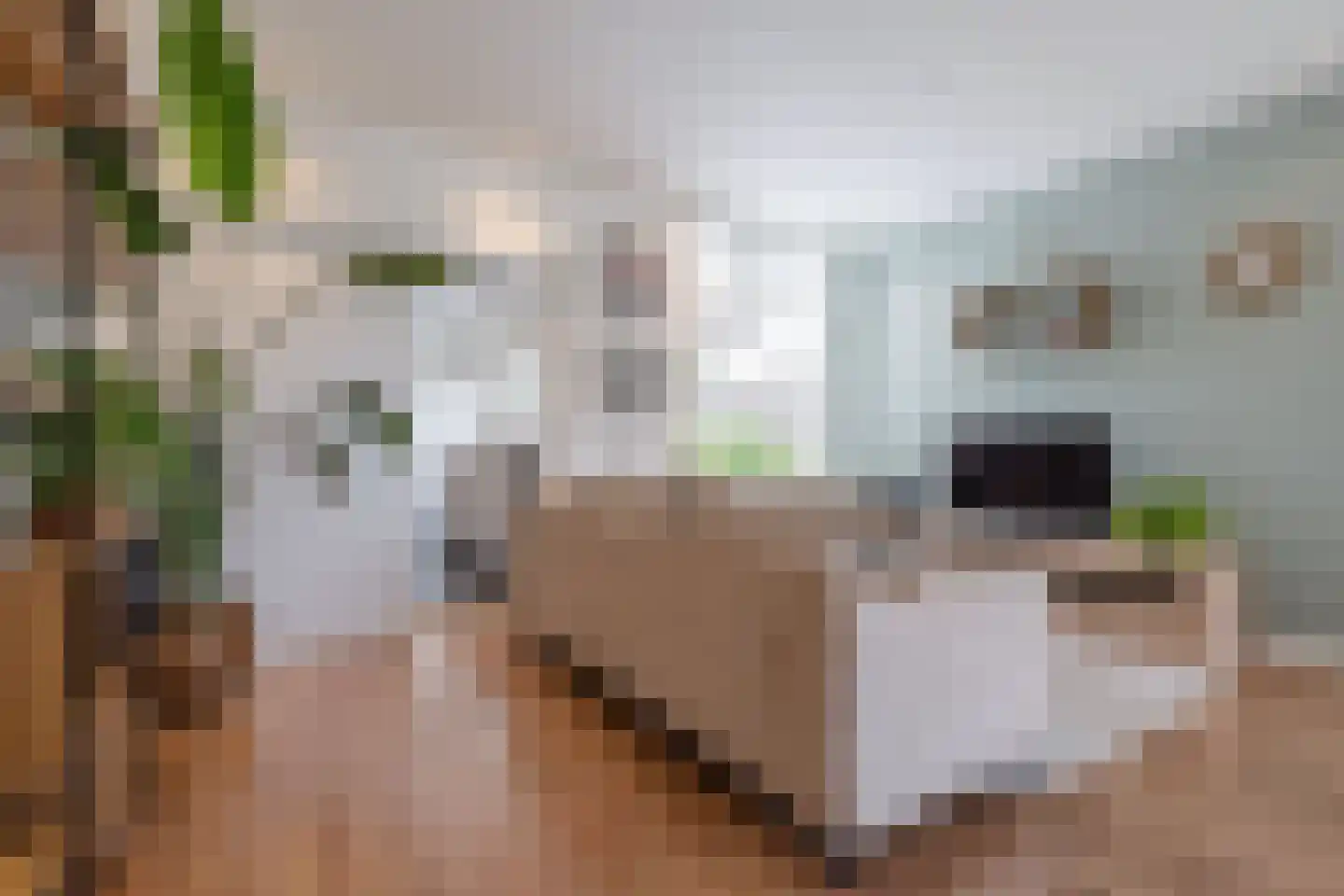 Valkenierslaan 129 Breda thumbnail 8