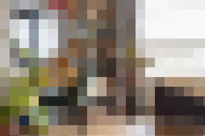 Valkenierslaan 153 Breda thumbnail 10