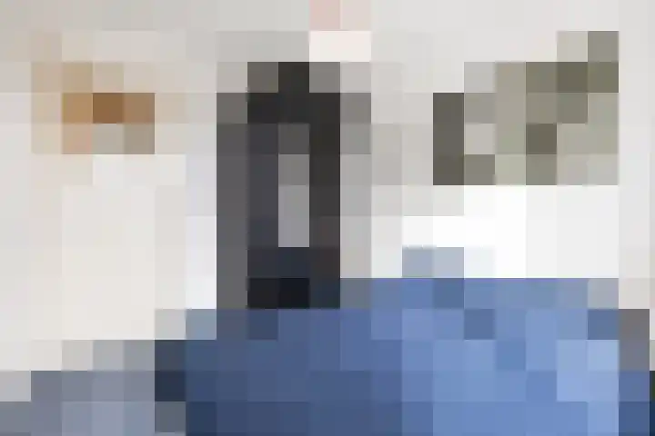 Valkenierslaan 153 Breda thumbnail 29