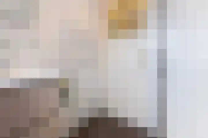 Valkenierslaan 153 Breda thumbnail 36