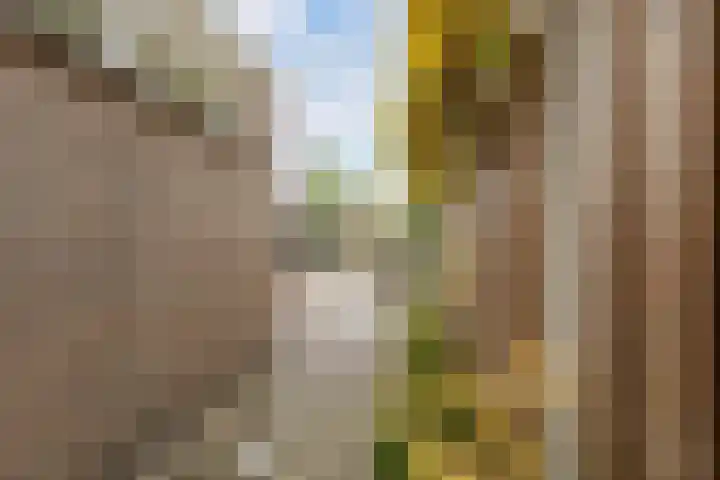Valkenierslaan 153 Breda thumbnail 38