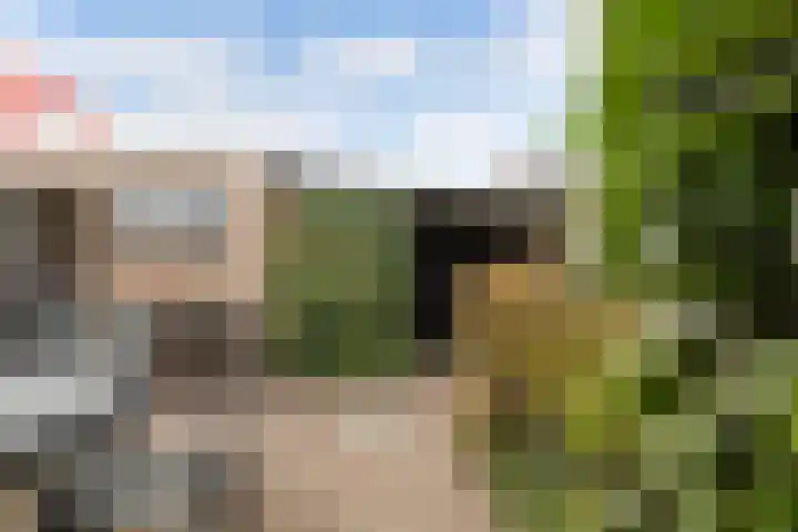 Valkenierslaan 153 Breda thumbnail 41