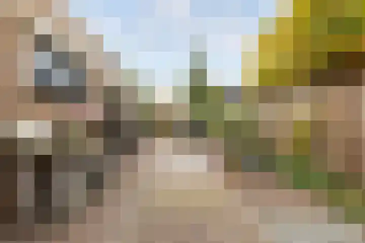 Valkenierslaan 153 Breda thumbnail 42