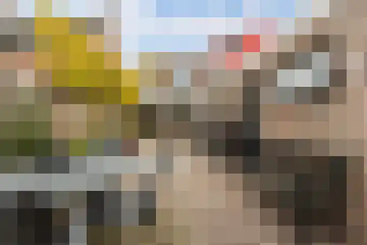 Valkenierslaan 153 Breda thumbnail 43