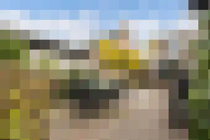 Valkenierslaan 153 Breda thumbnail 5