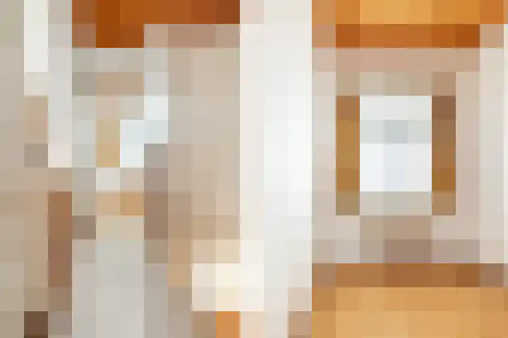 Valkenierslaan 170 Breda thumbnail 18
