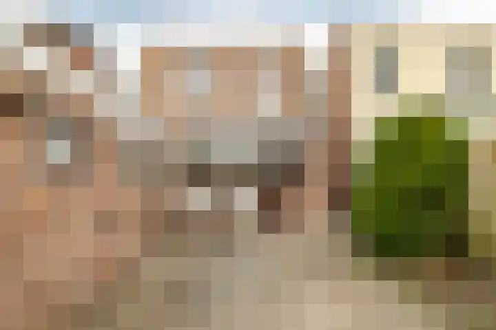 Valkenierslaan 170 Breda thumbnail 27