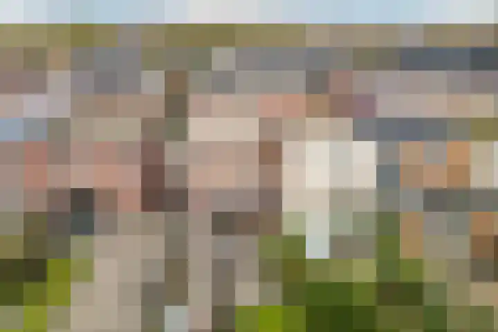 Valkenierslaan 170 Breda thumbnail 33