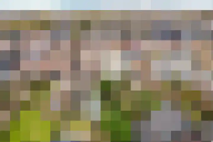 Valkenierslaan 170 Breda thumbnail 34