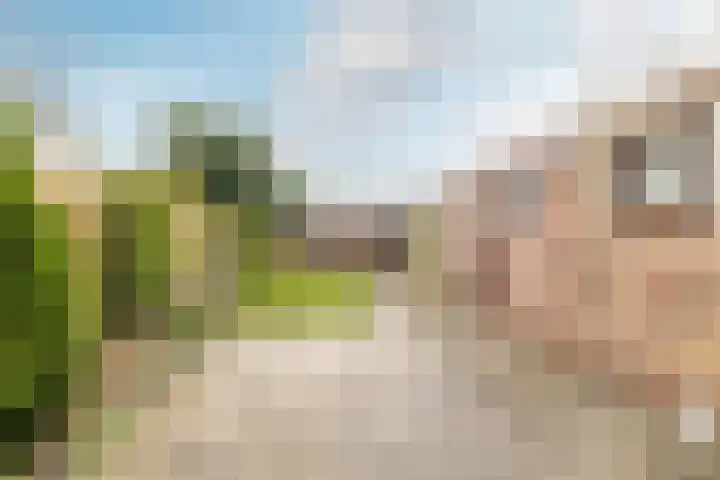 Valkenierslaan 170 Breda thumbnail 4
