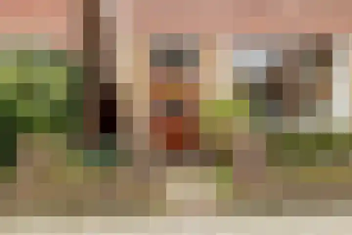 Valkenierslaan 170 Breda thumbnail 6