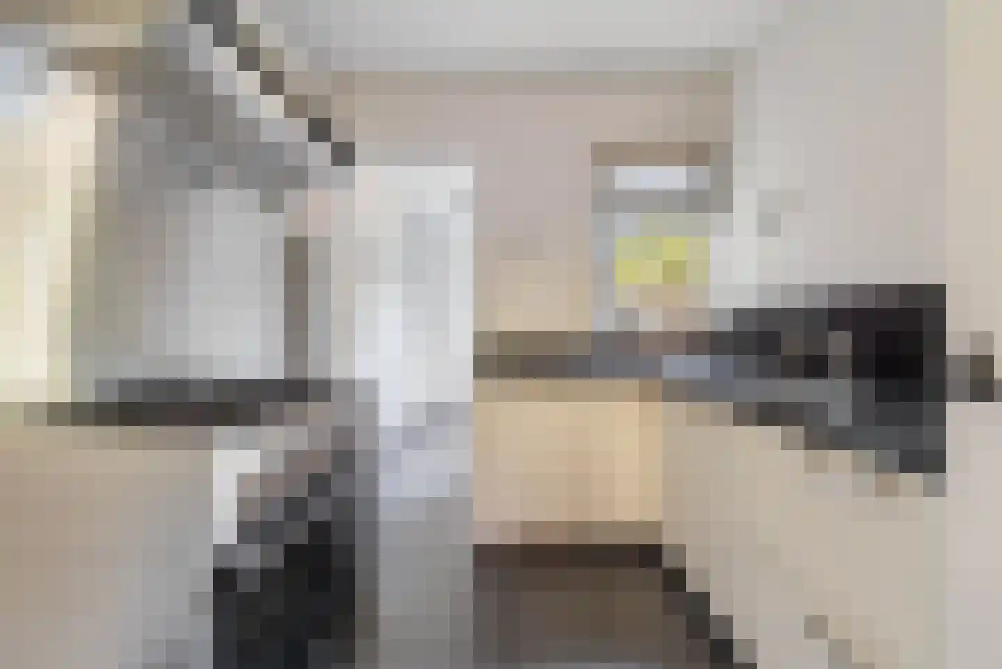 Valkenierslaan 205 Breda thumbnail 13
