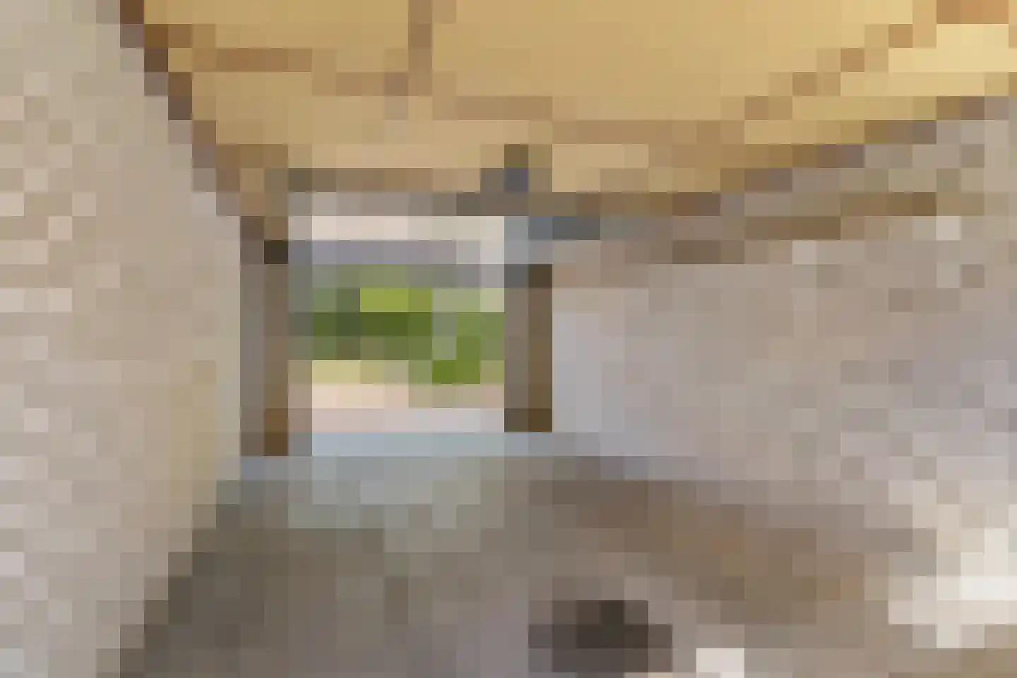 Valkenierslaan 205 Breda thumbnail 30