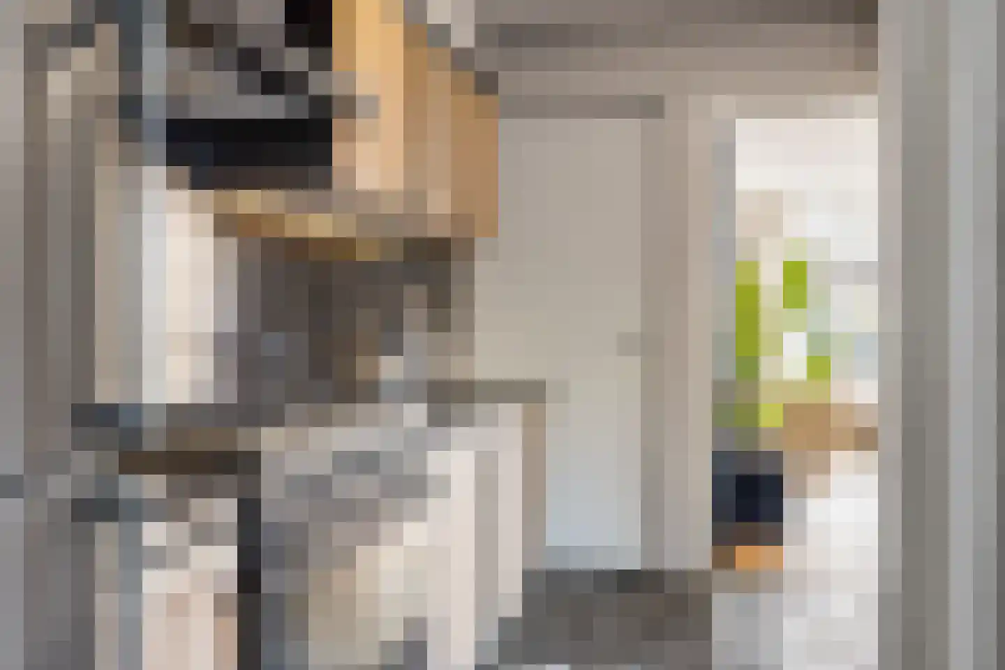 Valkenierslaan 231 Breda thumbnail 19