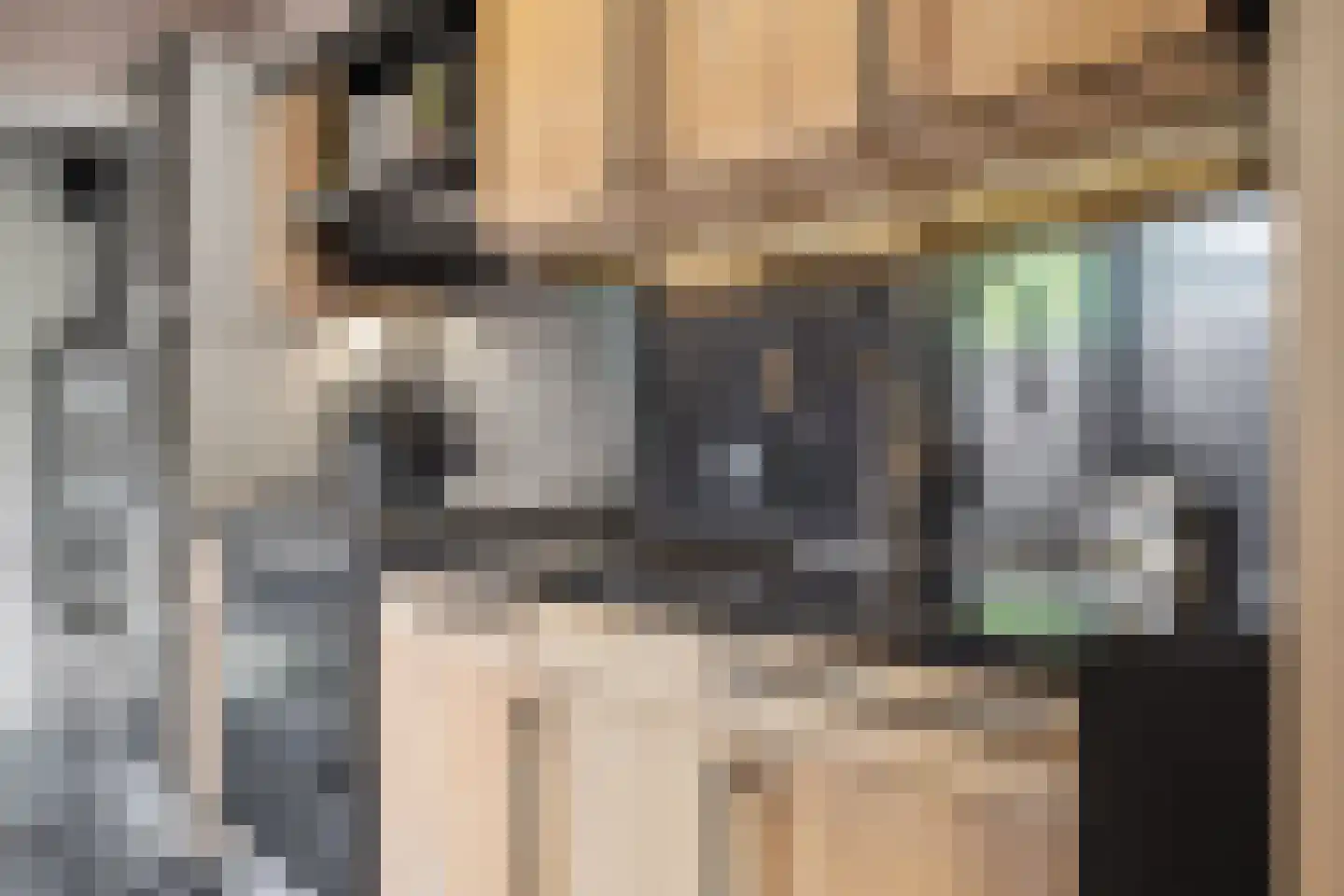 Valkenierslaan 231 Breda thumbnail 20