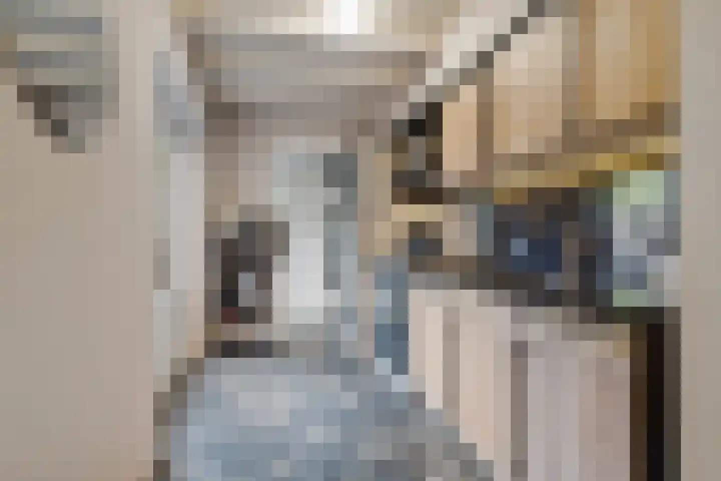 Valkenierslaan 231 Breda thumbnail 22
