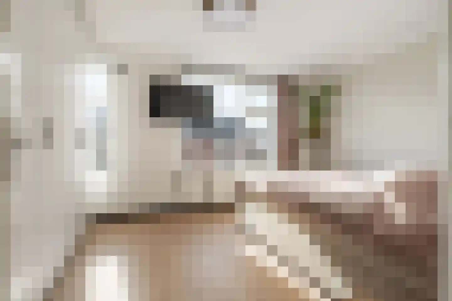 Valkenierslaan 231 Breda thumbnail 31