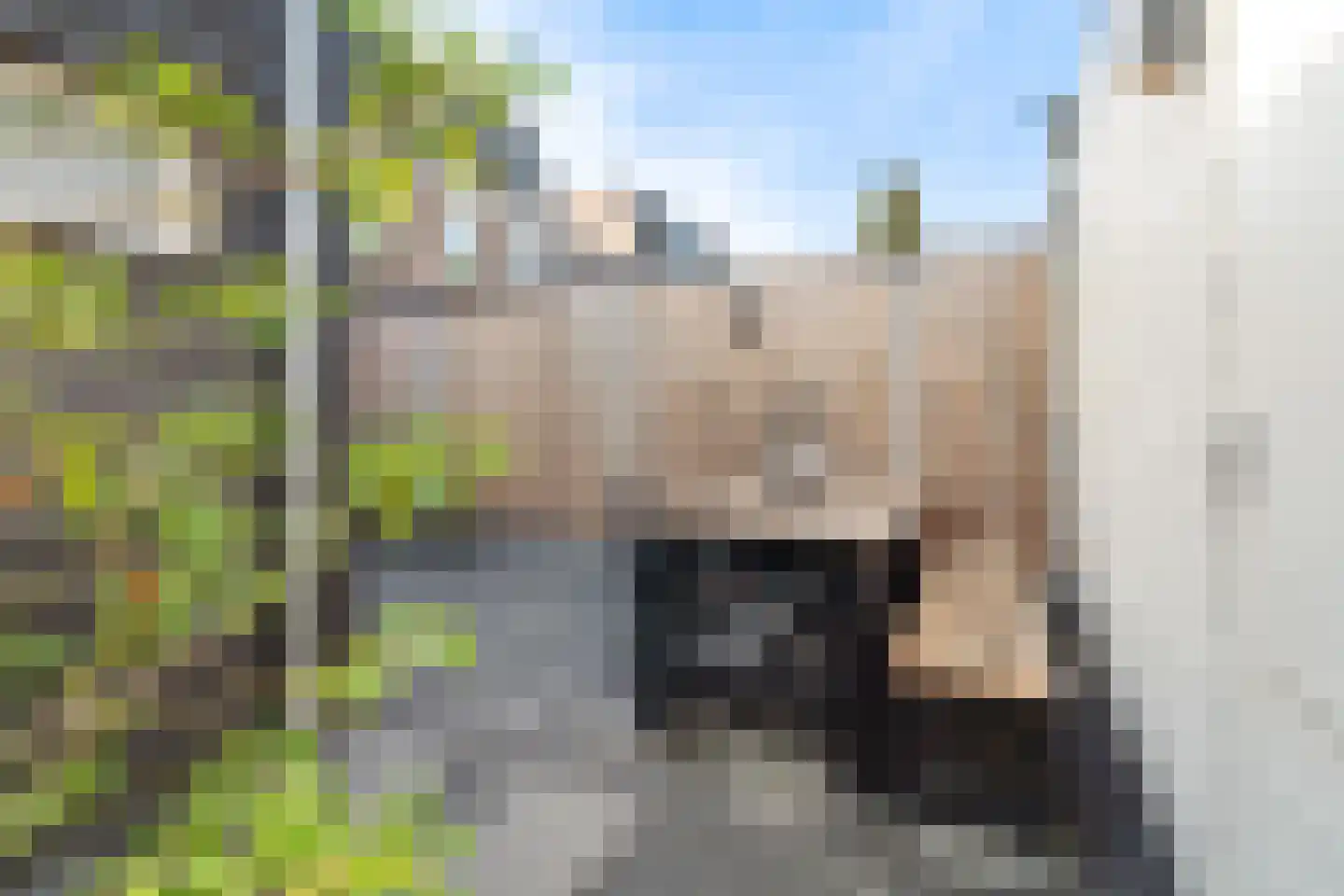 Valkenierslaan 231 Breda thumbnail 42
