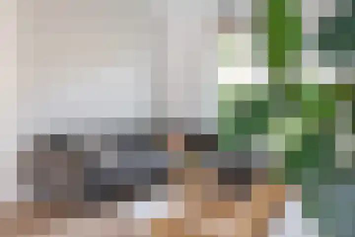 Valkenierslaan 236 Breda thumbnail 10