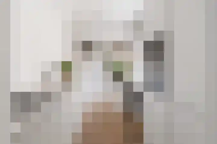 Valkenierslaan 236 Breda thumbnail 14