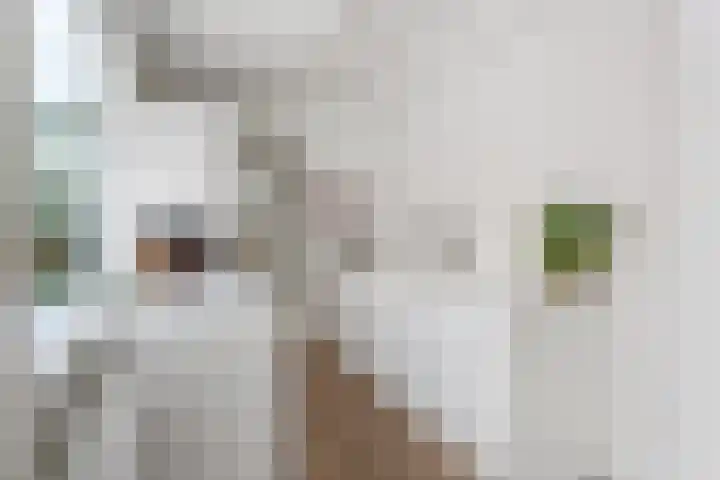 Valkenierslaan 236 Breda thumbnail 17