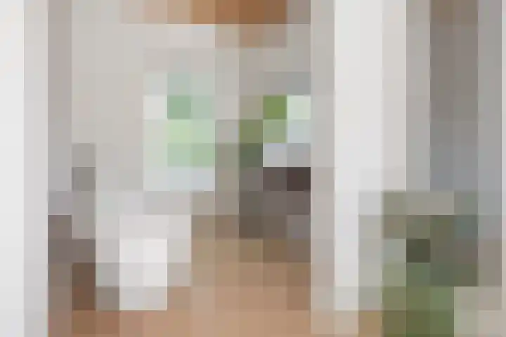 Valkenierslaan 236 Breda thumbnail 32